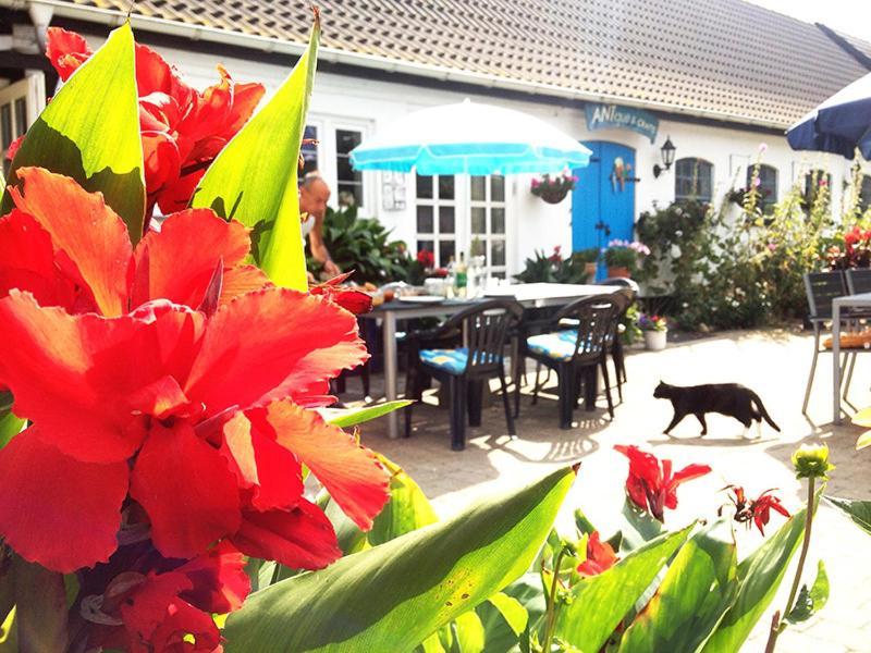 Myrehoj Bed & Breakfast Eskebjerg Exterior foto